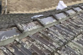 monbulk 1 terracotta roof repair
